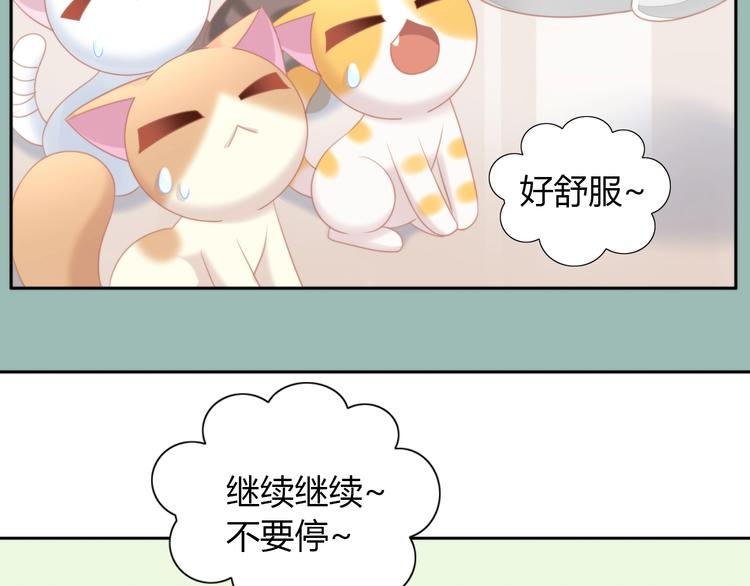 《猫爪之下》漫画最新章节第111话 失去空调的夏天免费下拉式在线观看章节第【48】张图片