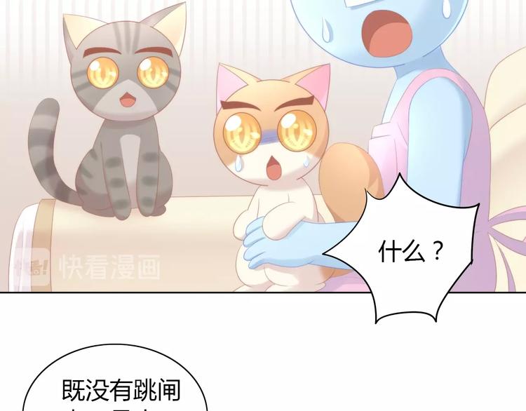 《猫爪之下》漫画最新章节第111话 失去空调的夏天免费下拉式在线观看章节第【80】张图片