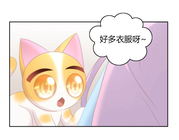 《猫爪之下》漫画最新章节第113话 断舍离免费下拉式在线观看章节第【14】张图片