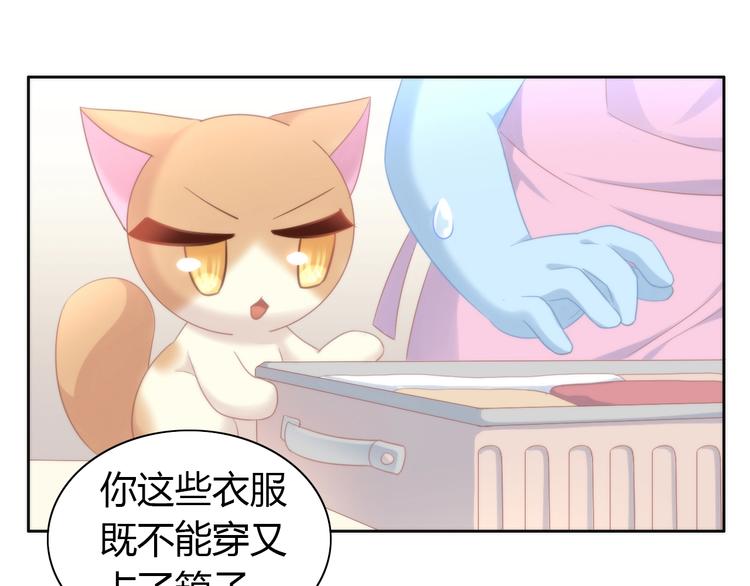 《猫爪之下》漫画最新章节第113话 断舍离免费下拉式在线观看章节第【28】张图片