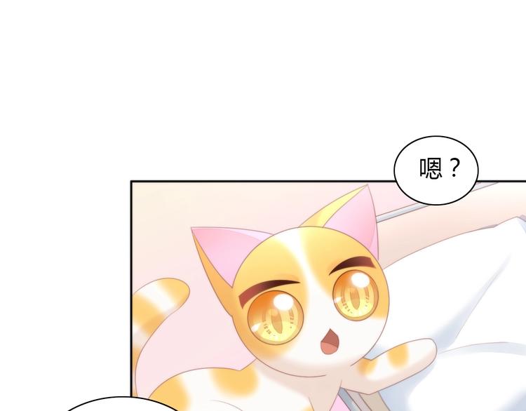 《猫爪之下》漫画最新章节第113话 断舍离免费下拉式在线观看章节第【47】张图片