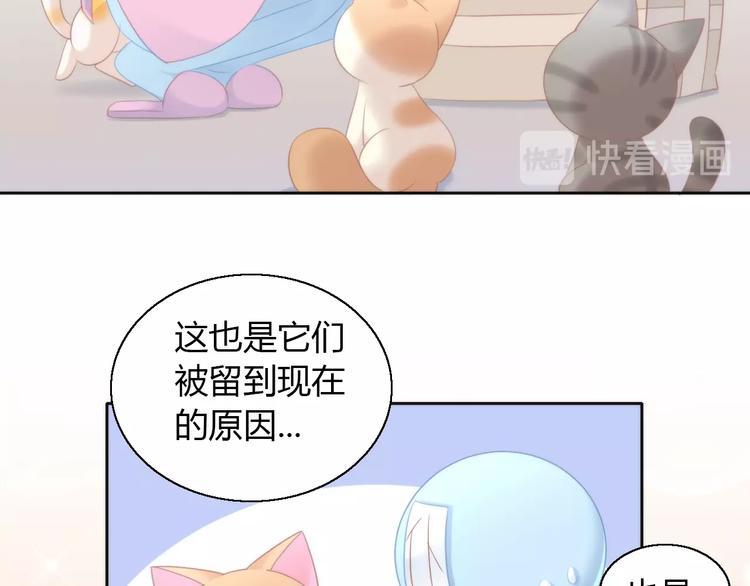 《猫爪之下》漫画最新章节第113话 断舍离免费下拉式在线观看章节第【61】张图片