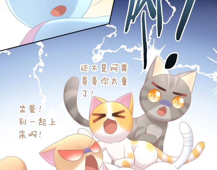 《猫爪之下》漫画最新章节第113话 断舍离免费下拉式在线观看章节第【72】张图片