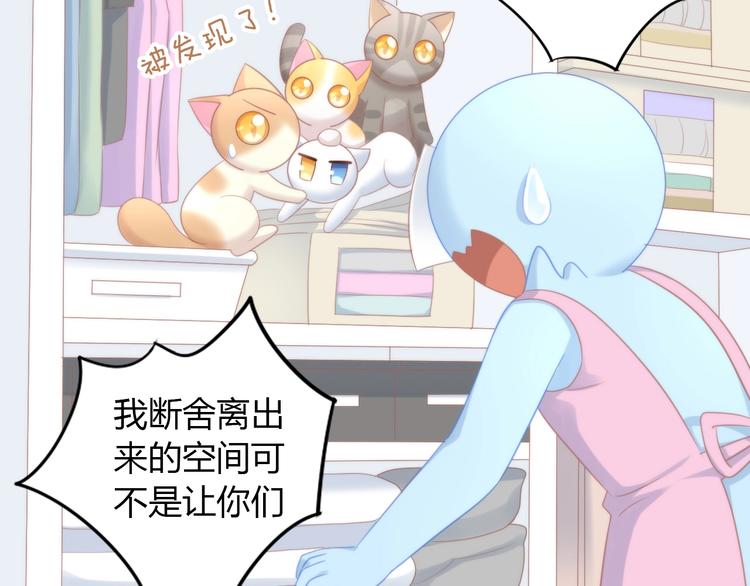 《猫爪之下》漫画最新章节第113话 断舍离免费下拉式在线观看章节第【74】张图片