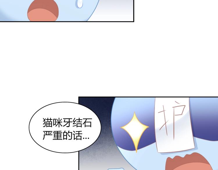 《猫爪之下》漫画最新章节第114话 猫咪也要刷牙！免费下拉式在线观看章节第【34】张图片