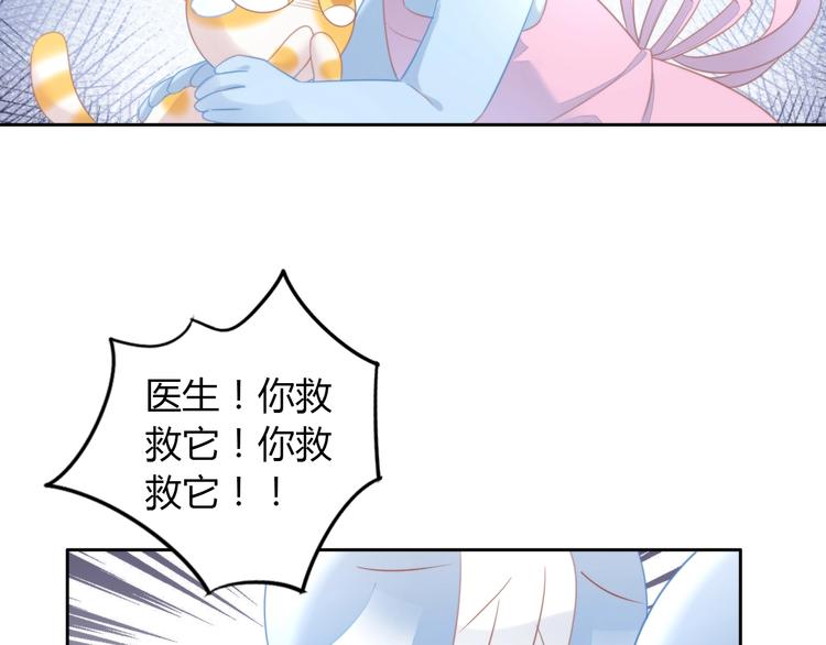 《猫爪之下》漫画最新章节第114话 猫咪也要刷牙！免费下拉式在线观看章节第【38】张图片