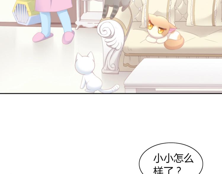 《猫爪之下》漫画最新章节第114话 猫咪也要刷牙！免费下拉式在线观看章节第【55】张图片