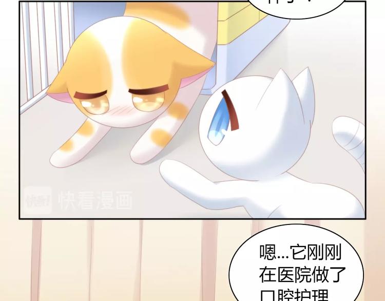 《猫爪之下》漫画最新章节第114话 猫咪也要刷牙！免费下拉式在线观看章节第【56】张图片