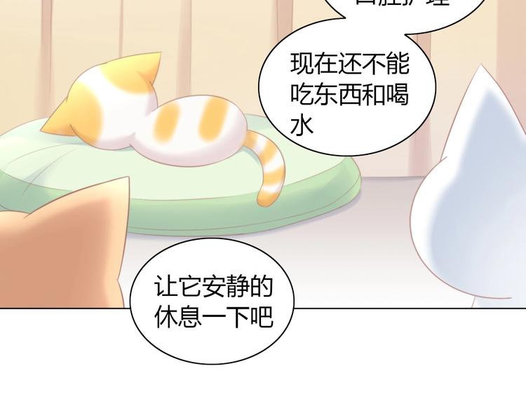 《猫爪之下》漫画最新章节第114话 猫咪也要刷牙！免费下拉式在线观看章节第【57】张图片