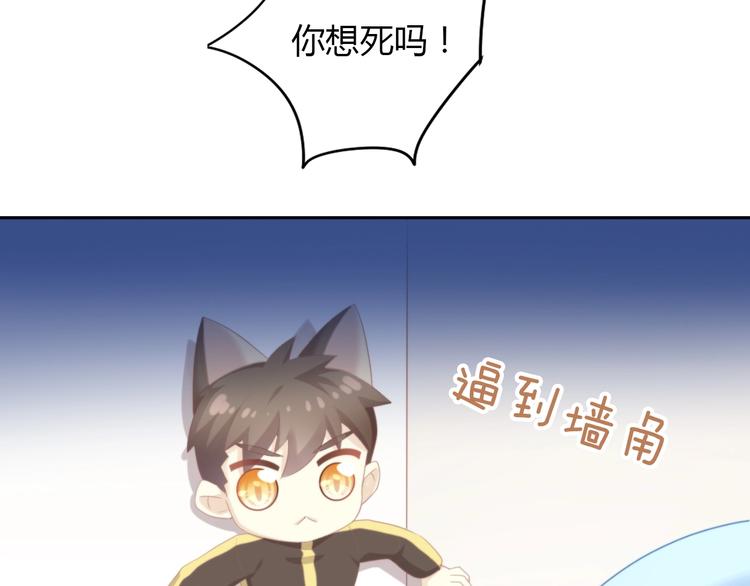 《猫爪之下》漫画最新章节第114话 猫咪也要刷牙！免费下拉式在线观看章节第【68】张图片