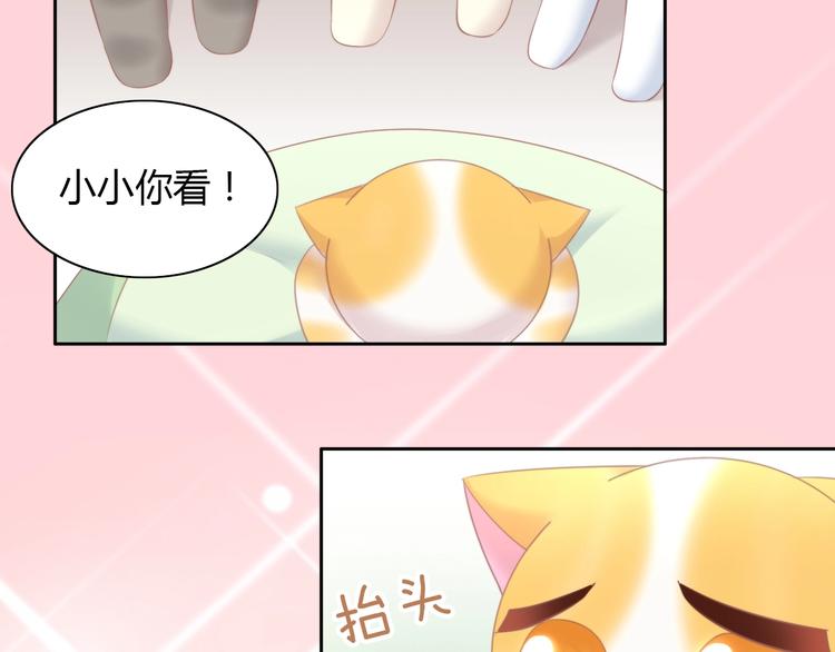 《猫爪之下》漫画最新章节第114话 猫咪也要刷牙！免费下拉式在线观看章节第【81】张图片