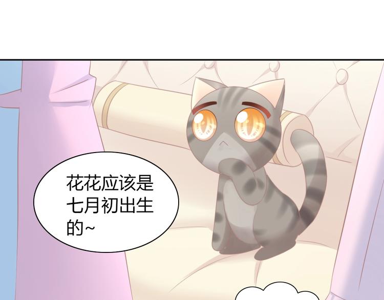 《猫爪之下》漫画最新章节第115话 星座免费下拉式在线观看章节第【59】张图片