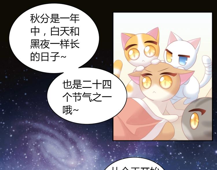 《猫爪之下》漫画最新章节第116话 秋分免费下拉式在线观看章节第【11】张图片