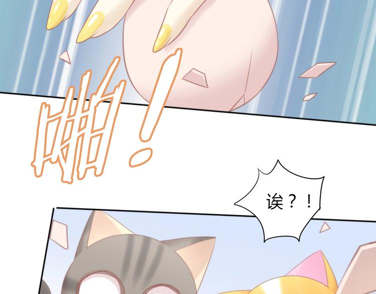 《猫爪之下》漫画最新章节第116话 秋分免费下拉式在线观看章节第【78】张图片