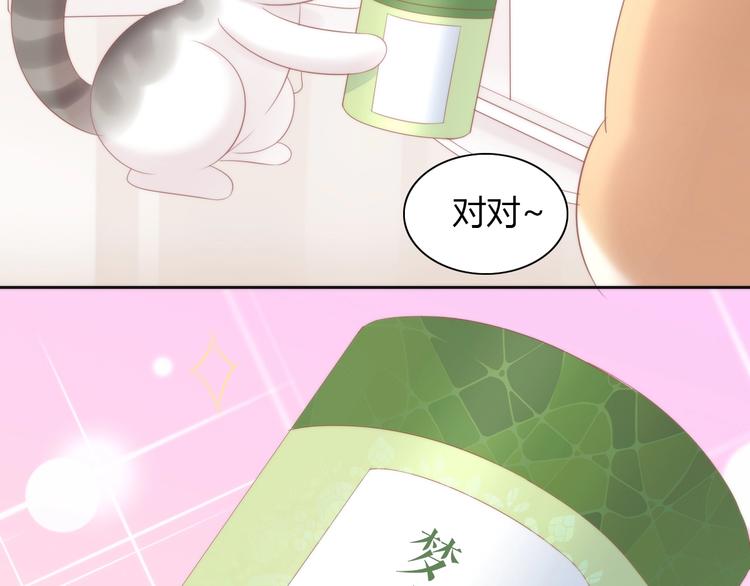 《猫爪之下》漫画最新章节第118话 猫爪学园（一）免费下拉式在线观看章节第【19】张图片