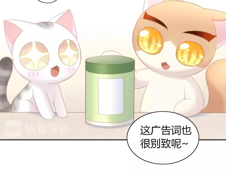 《猫爪之下》漫画最新章节第118话 猫爪学园（一）免费下拉式在线观看章节第【21】张图片