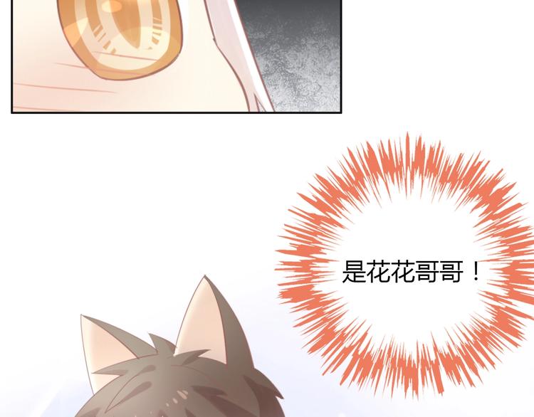 《猫爪之下》漫画最新章节第119话 猫爪学园（二）免费下拉式在线观看章节第【29】张图片