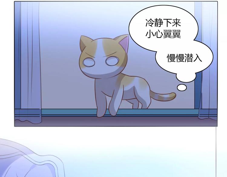 《猫爪之下》漫画最新章节第13话  纸箱竟然是！免费下拉式在线观看章节第【28】张图片