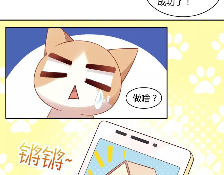 《猫爪之下》漫画最新章节第13话  纸箱竟然是！免费下拉式在线观看章节第【51】张图片