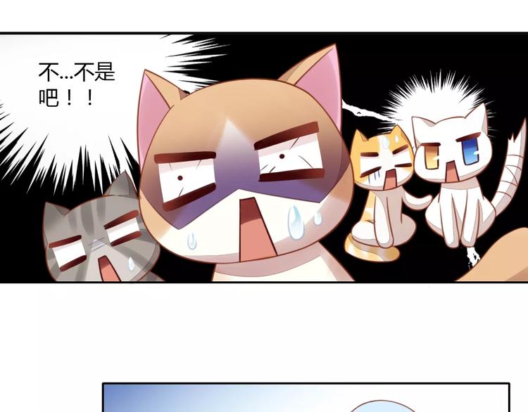 《猫爪之下》漫画最新章节第13话  纸箱竟然是！免费下拉式在线观看章节第【53】张图片