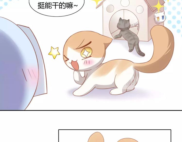 《猫爪之下》漫画最新章节第13话  纸箱竟然是！免费下拉式在线观看章节第【72】张图片