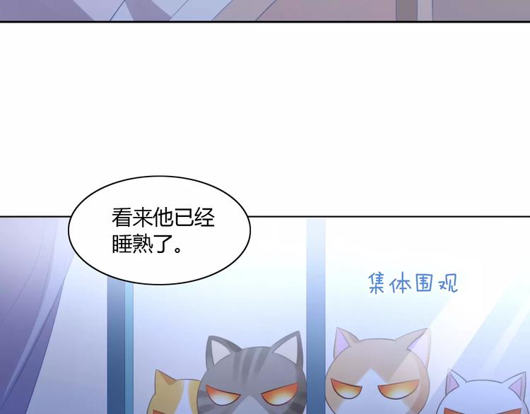 《猫爪之下》漫画最新章节第13话  纸箱竟然是！免费下拉式在线观看章节第【9】张图片