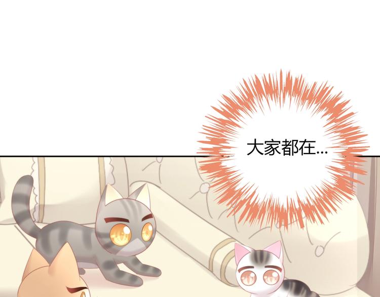 《猫爪之下》漫画最新章节第121话 猫爪学园（四）免费下拉式在线观看章节第【93】张图片