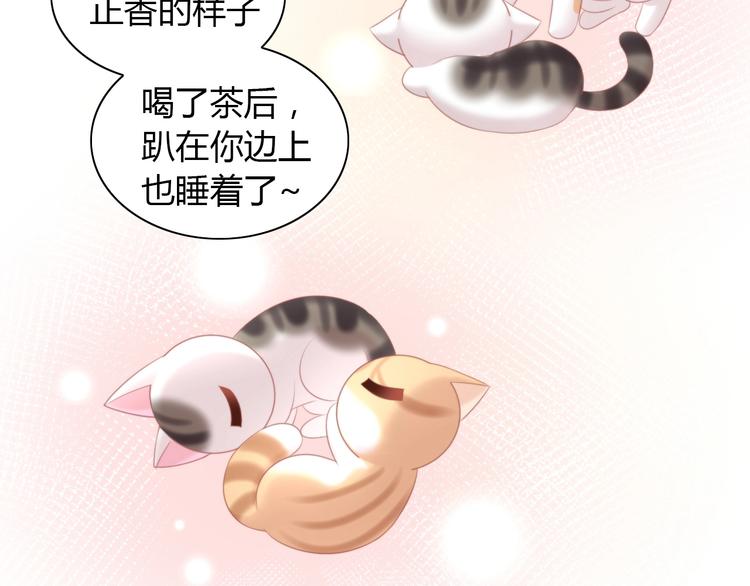 《猫爪之下》漫画最新章节第121话 猫爪学园（四）免费下拉式在线观看章节第【98】张图片