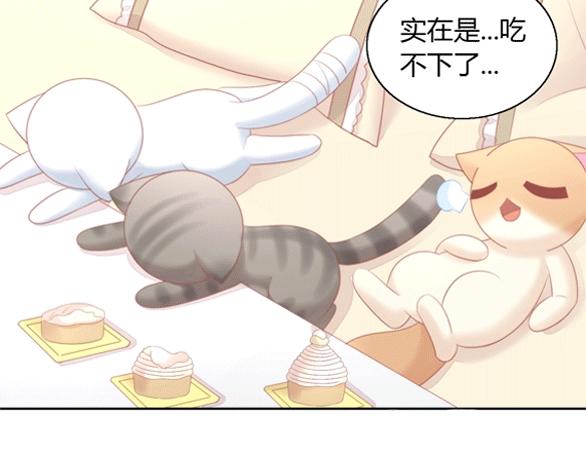 《猫爪之下》漫画最新章节第122话 做造型免费下拉式在线观看章节第【109】张图片