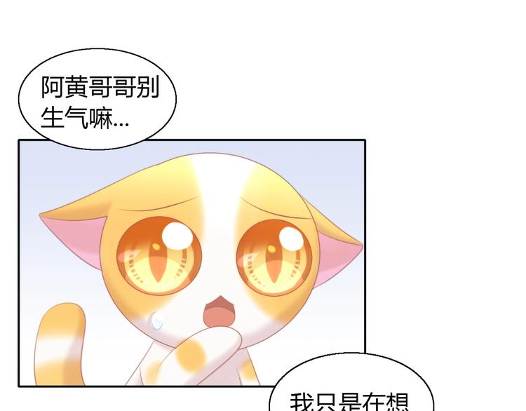 《猫爪之下》漫画最新章节第122话 做造型免费下拉式在线观看章节第【43】张图片