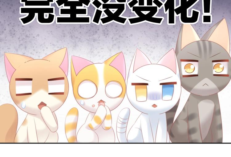 《猫爪之下》漫画最新章节第122话 做造型免费下拉式在线观看章节第【94】张图片