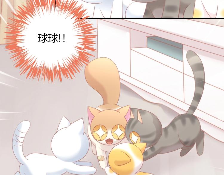 《猫爪之下》漫画最新章节第123话 秋日点心免费下拉式在线观看章节第【33】张图片