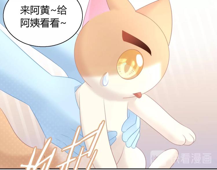 《猫爪之下》漫画最新章节第124话 要锻炼！免费下拉式在线观看章节第【17】张图片