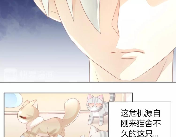 《猫爪之下》漫画最新章节第125话 猫舍C位（一）免费下拉式在线观看章节第【12】张图片