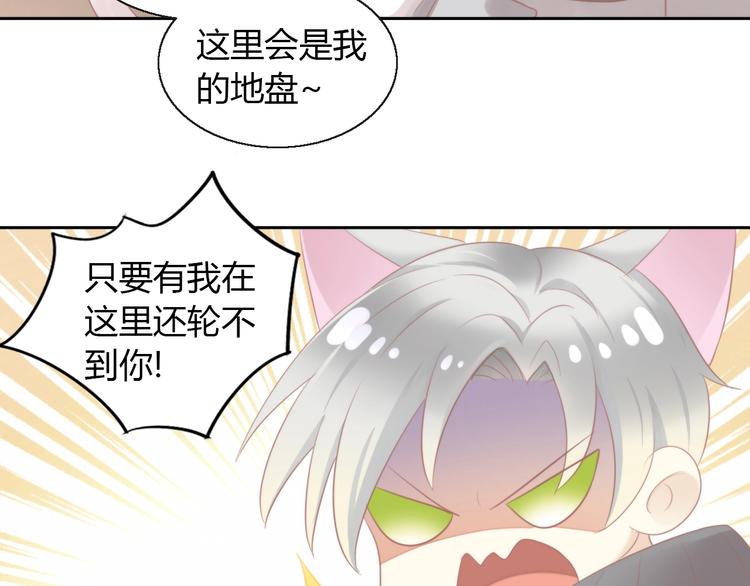 《猫爪之下》漫画最新章节第125话 猫舍C位（一）免费下拉式在线观看章节第【36】张图片