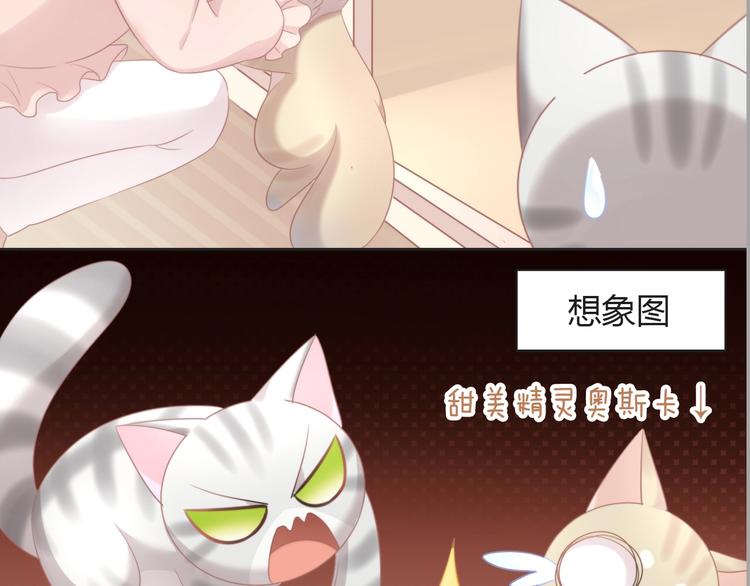 《猫爪之下》漫画最新章节第125话 猫舍C位（一）免费下拉式在线观看章节第【44】张图片