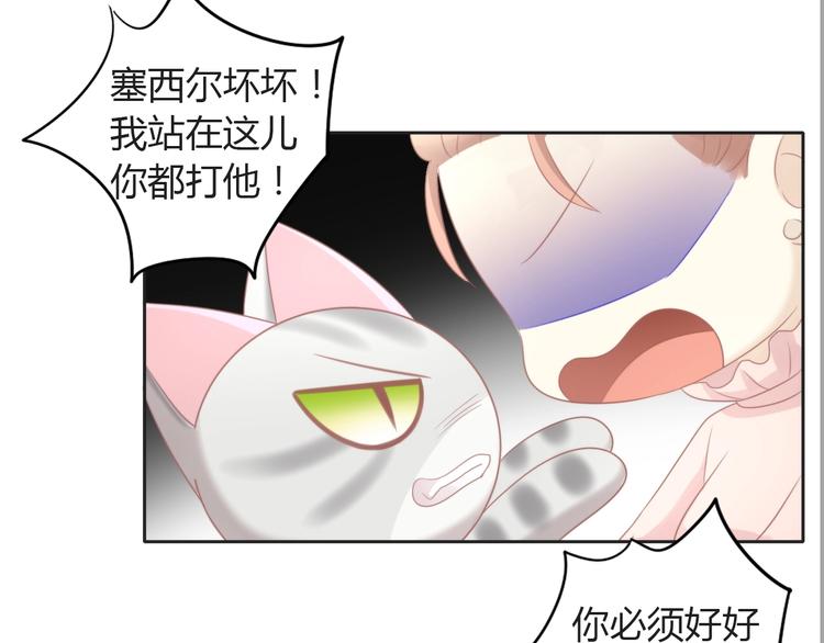 《猫爪之下》漫画最新章节第125话 猫舍C位（一）免费下拉式在线观看章节第【50】张图片