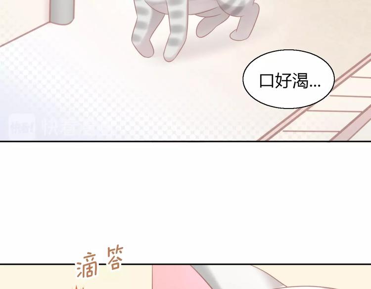 《猫爪之下》漫画最新章节第125话 猫舍C位（一）免费下拉式在线观看章节第【69】张图片