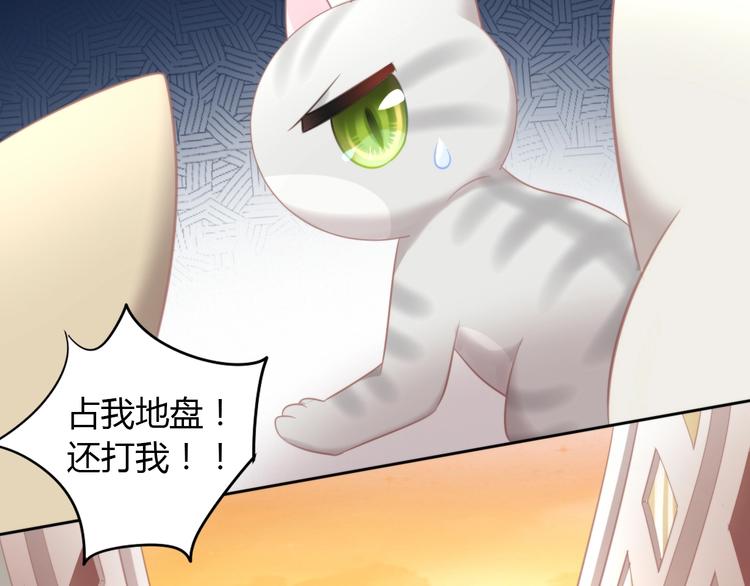 《猫爪之下》漫画最新章节第125话 猫舍C位（一）免费下拉式在线观看章节第【83】张图片