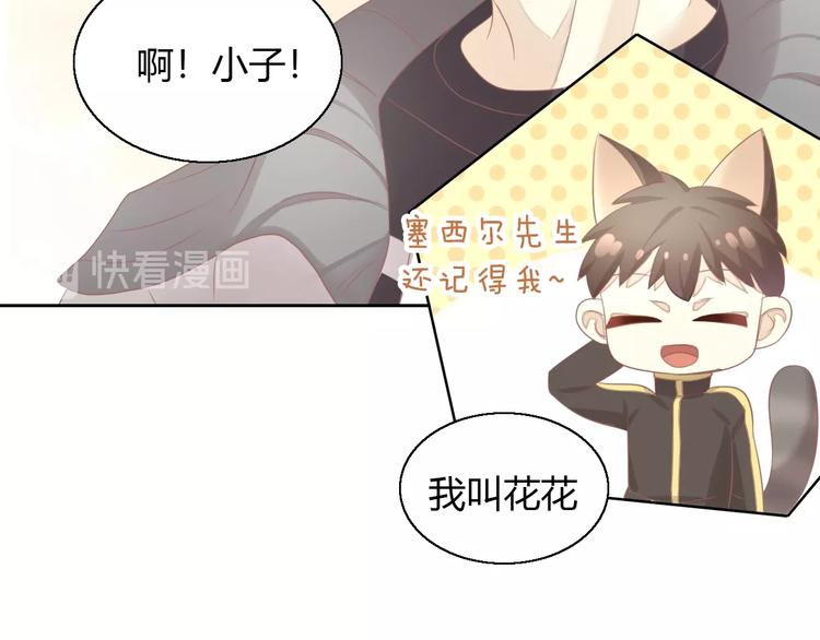 《猫爪之下》漫画最新章节第126话 猫舍C位（二）免费下拉式在线观看章节第【34】张图片