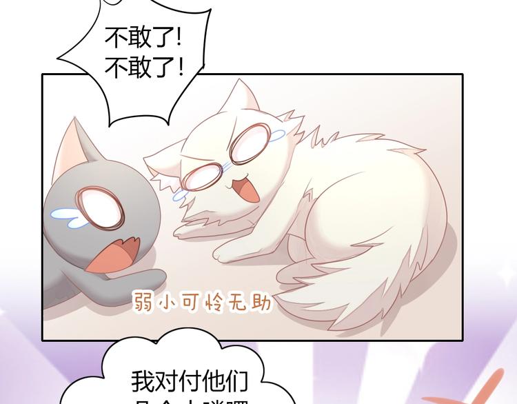 《猫爪之下》漫画最新章节第126话 猫舍C位（二）免费下拉式在线观看章节第【41】张图片