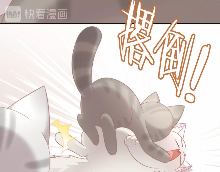 《猫爪之下》漫画最新章节第126话 猫舍C位（二）免费下拉式在线观看章节第【49】张图片