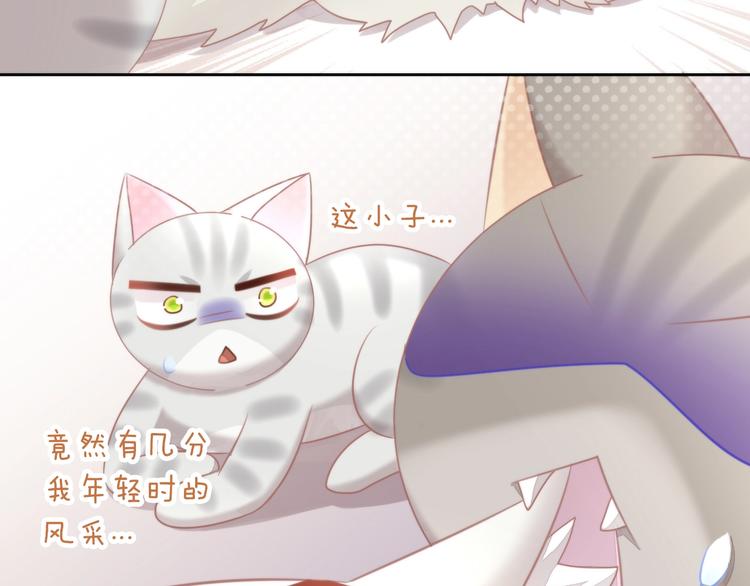 《猫爪之下》漫画最新章节第126话 猫舍C位（二）免费下拉式在线观看章节第【50】张图片