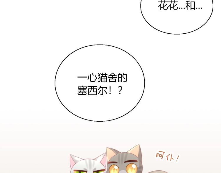 《猫爪之下》漫画最新章节第126话 猫舍C位（二）免费下拉式在线观看章节第【56】张图片