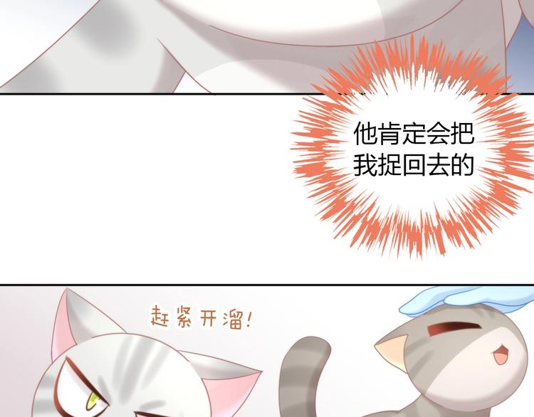 《猫爪之下》漫画最新章节第126话 猫舍C位（二）免费下拉式在线观看章节第【60】张图片