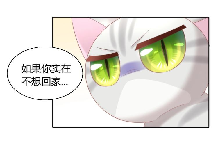 《猫爪之下》漫画最新章节第126话 猫舍C位（二）免费下拉式在线观看章节第【78】张图片