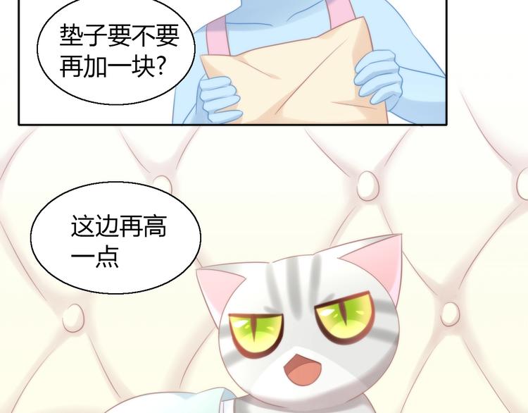 《猫爪之下》漫画最新章节第127话 猫舍C位（三）免费下拉式在线观看章节第【10】张图片