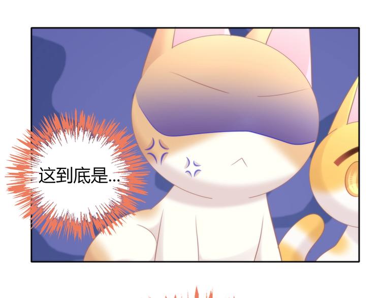 《猫爪之下》漫画最新章节第127话 猫舍C位（三）免费下拉式在线观看章节第【13】张图片