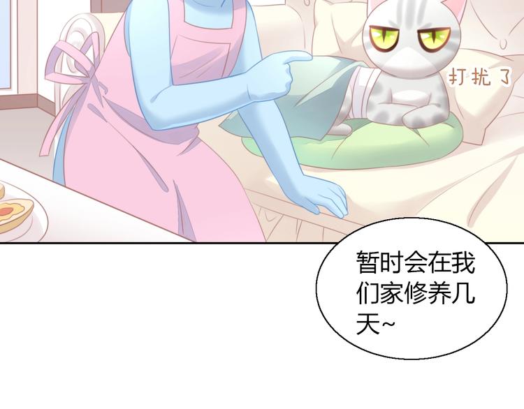 《猫爪之下》漫画最新章节第127话 猫舍C位（三）免费下拉式在线观看章节第【16】张图片