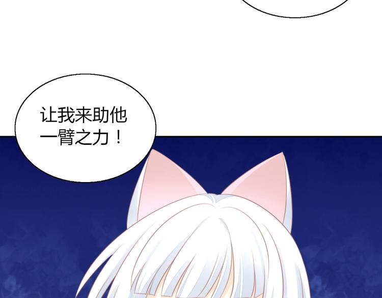 《猫爪之下》漫画最新章节第127话 猫舍C位（三）免费下拉式在线观看章节第【19】张图片